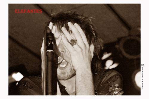 Fotografia de rebeca panizo - Galeria Fotografica: elefantes - Foto: ELEFANTES