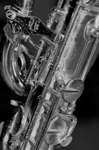 Fotografia de Lizard - Galeria Fotografica: Msica tnica - Foto: saxo