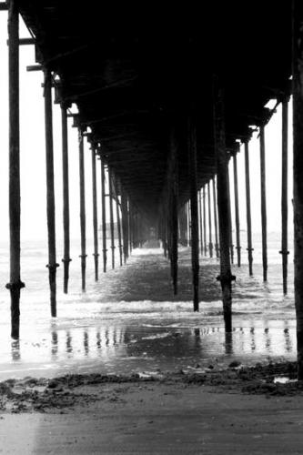 Fotografia de Mario Coln - Galeria Fotografica: Miscelanea Personal - Foto: fuga 1