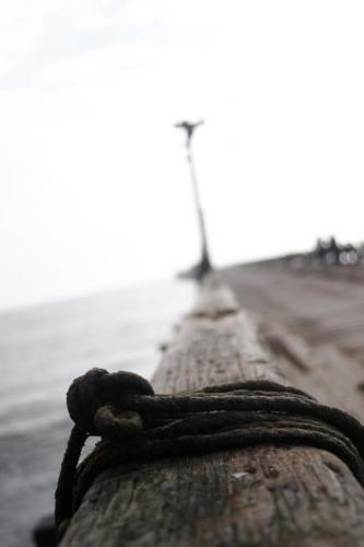 Fotografia de Mario Coln - Galeria Fotografica: Miscelanea Personal - Foto: fuga 3