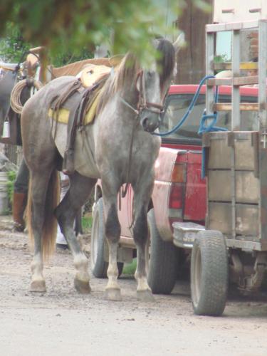 Fotografia de are*J - Galeria Fotografica: vision.. - Foto: 