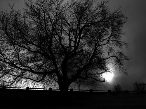 Fotografia de juni misato - Galeria Fotografica: senda... - Foto: luz de noche...