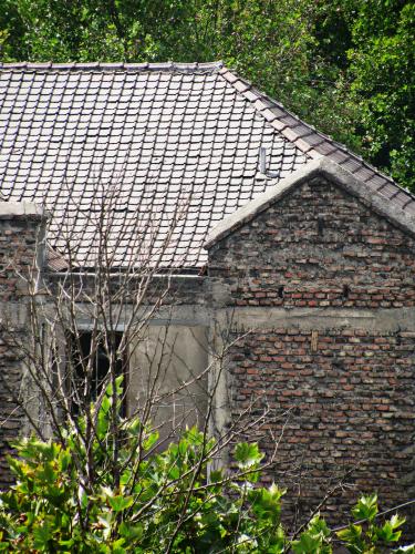 Fotografia de Masto - Galeria Fotografica: Lugares con aroma a olvido - Foto: Frente al olvido