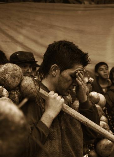 Fotografia de F.J.P - Galeria Fotografica: Calabaceros - Foto: El cansancio del Calabacero								