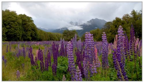 Fotografia de Marc Dufour - Galeria Fotografica: Nueva Zelanda - Foto: 