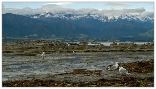 Fotografia de Marc Dufour - Galeria Fotografica: Nueva Zelanda - Foto: 