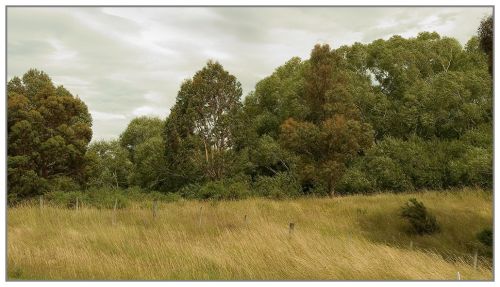 Fotografia de Marc Dufour - Galeria Fotografica: Nueva Zelanda - Foto: 