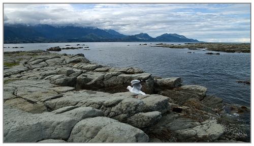 Fotografia de Marc Dufour - Galeria Fotografica: Nueva Zelanda - Foto: 