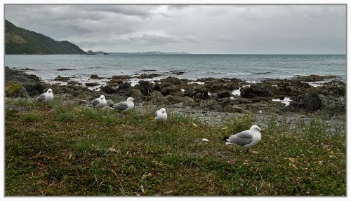 Fotografia de Marc Dufour - Galeria Fotografica: Nueva Zelanda - Foto: 