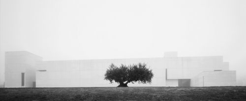 Fotografia de ojoxojo - Galeria Fotografica: Universidad de Navarra - Foto: 