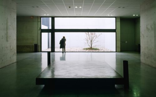 Fotografia de ojoxojo - Galeria Fotografica: Universidad de Navarra - Foto: 