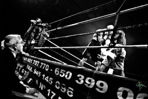 Fotografia de Ramón Buesa - Galeria Fotografica: Neutral Corner. 10 años de Boxeo alavés - Foto: Juez arbitro
