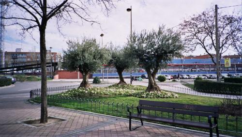 Fotografia de Alvaro H - Galeria Fotografica: Varios: naturaleza urbana y otros - Foto: Alcorcn central