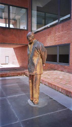 Fotografia de Alvaro H - Galeria Fotografica: Varios: naturaleza urbana y otros - Foto: Hombre en el patio