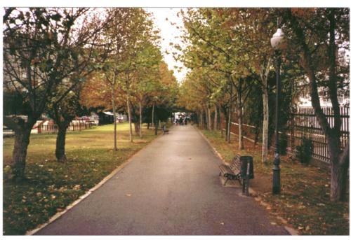 Fotografia de Alvaro H - Galeria Fotografica: Varios: naturaleza urbana y otros - Foto: Parque Mstoles otoo