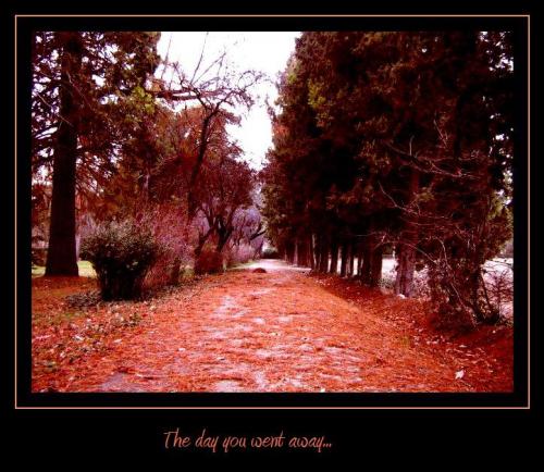 Fotografia de Sephrenia - Galeria Fotografica: paisajes - Foto: the day you went away