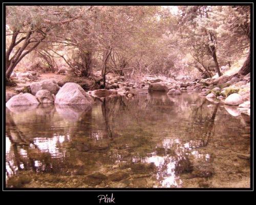 Fotografia de Sephrenia - Galeria Fotografica: paisajes - Foto: pink