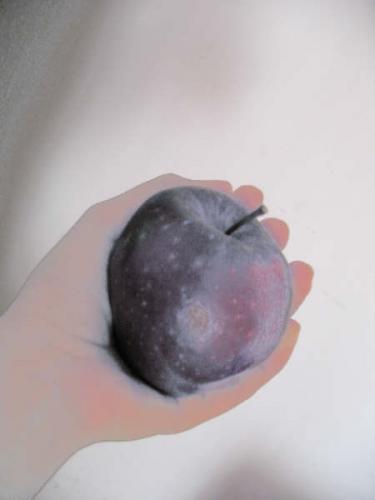 Fotografia de maiisol - Galeria Fotografica: maiisol - Foto: ...