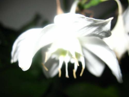 Fotografia de maiisol - Galeria Fotografica: maiisol - Foto: :o