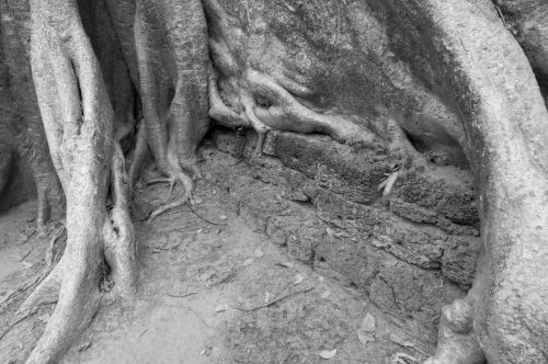 Fotografia de Ciro Caramico Fotografo - Galeria Fotografica: Trre ans Stone - Foto: 