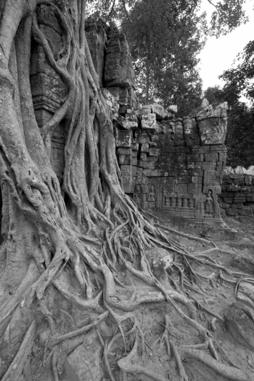 Fotografia de Ciro Caramico Fotografo - Galeria Fotografica: Trre ans Stone - Foto: 