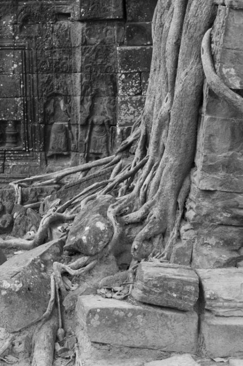 Fotografia de Ciro Caramico Fotografo - Galeria Fotografica: Trre ans Stone - Foto: 