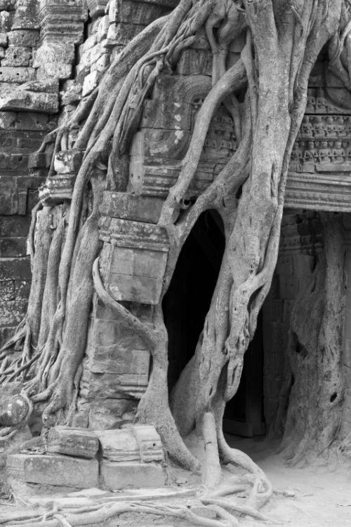 Fotografia de Ciro Caramico Fotografo - Galeria Fotografica: Trre ans Stone - Foto: 