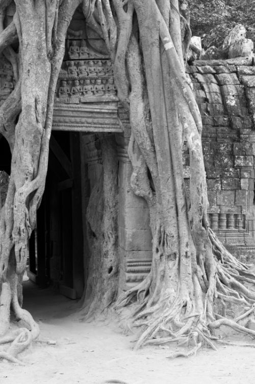 Fotografia de Ciro Caramico Fotografo - Galeria Fotografica: Trre ans Stone - Foto: 