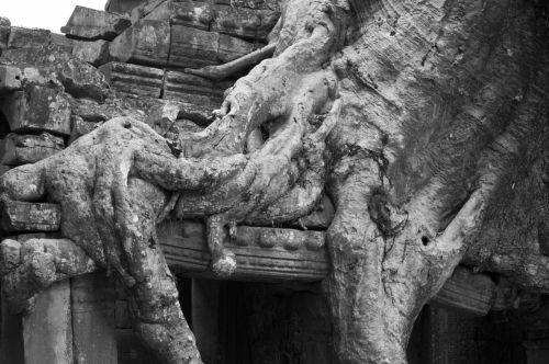 Fotografia de Ciro Caramico Fotografo - Galeria Fotografica: Trre ans Stone - Foto: 