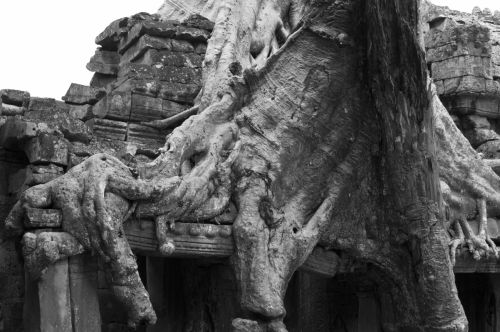 Fotografia de Ciro Caramico Fotografo - Galeria Fotografica: Trre ans Stone - Foto: 