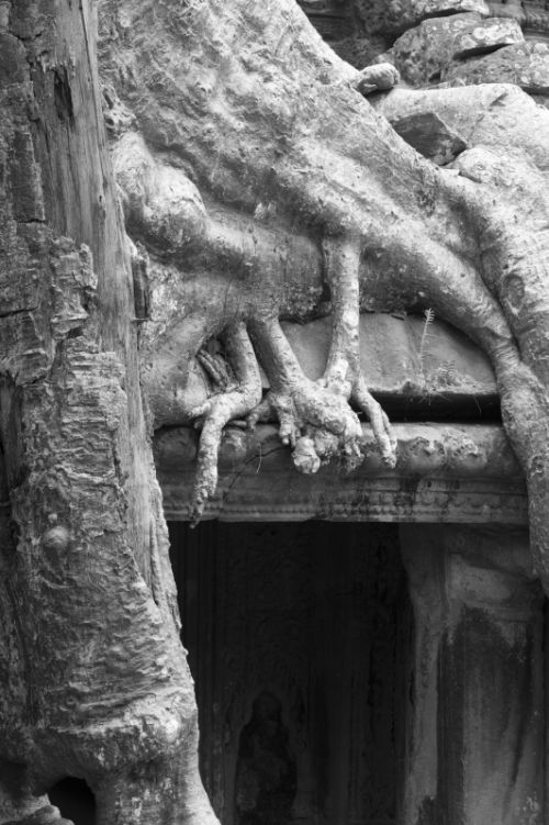 Fotografia de Ciro Caramico Fotografo - Galeria Fotografica: Trre ans Stone - Foto: 