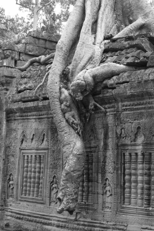 Fotografia de Ciro Caramico Fotografo - Galeria Fotografica: Trre ans Stone - Foto: 