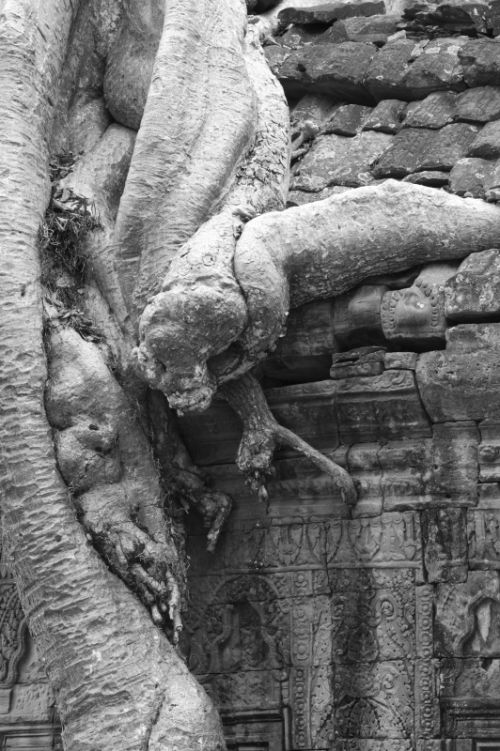 Fotografia de Ciro Caramico Fotografo - Galeria Fotografica: Trre ans Stone - Foto: 