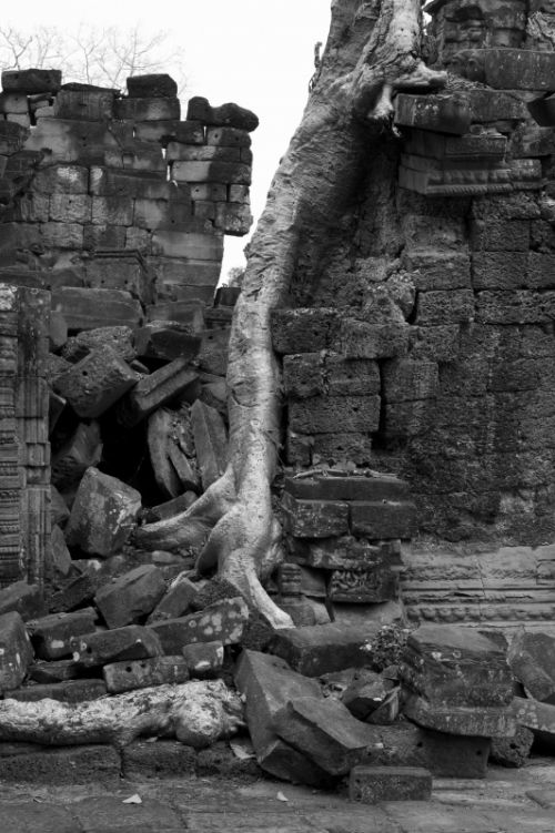 Fotografia de Ciro Caramico Fotografo - Galeria Fotografica: Trre ans Stone - Foto: 