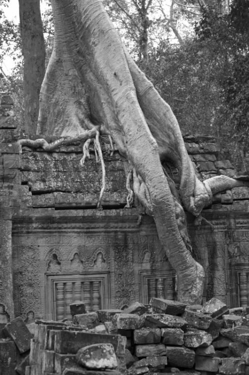 Fotografia de Ciro Caramico Fotografo - Galeria Fotografica: Trre ans Stone - Foto: 