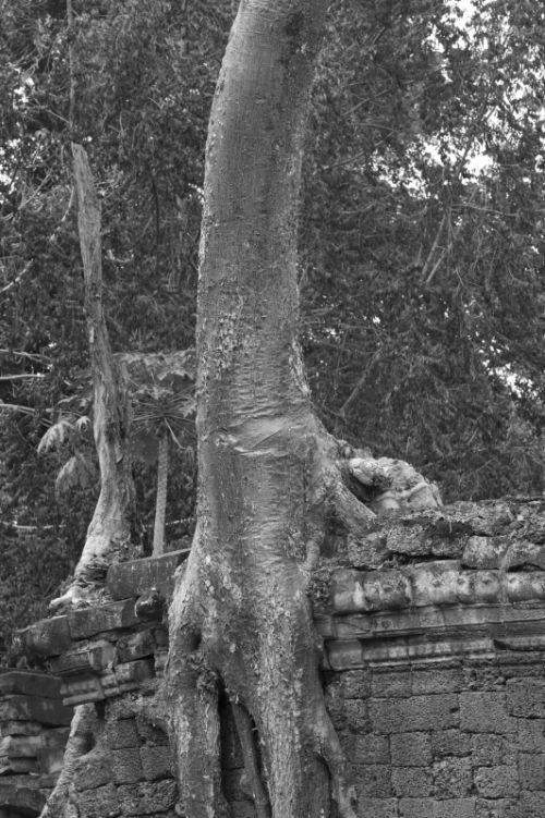 Fotografia de Ciro Caramico Fotografo - Galeria Fotografica: Trre ans Stone - Foto: 