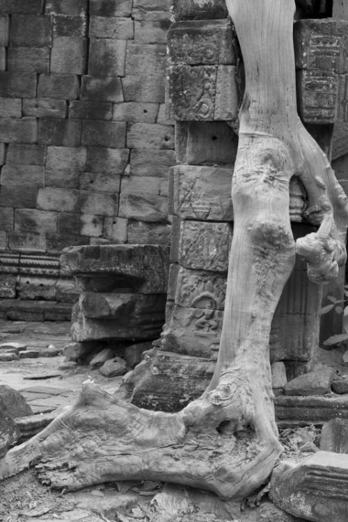 Fotografia de Ciro Caramico Fotografo - Galeria Fotografica: Trre ans Stone - Foto: 