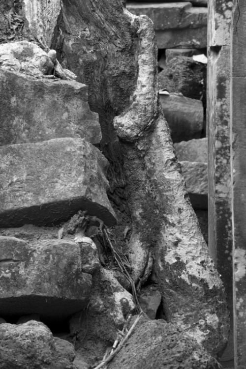 Fotografia de Ciro Caramico Fotografo - Galeria Fotografica: Trre ans Stone - Foto: 