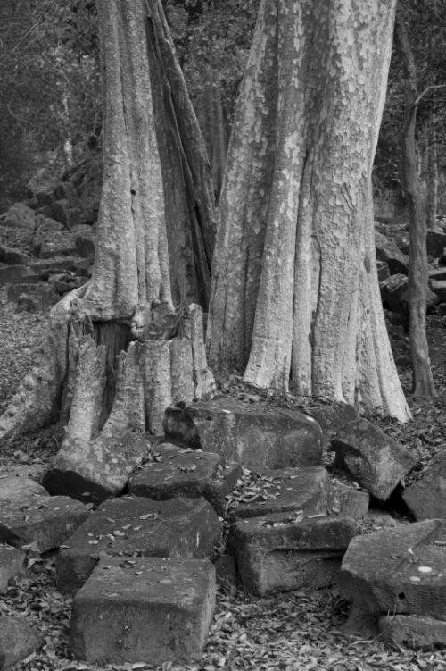 Fotografia de Ciro Caramico Fotografo - Galeria Fotografica: Trre ans Stone - Foto: 