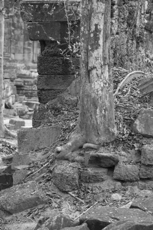 Fotografia de Ciro Caramico Fotografo - Galeria Fotografica: Trre ans Stone - Foto: 