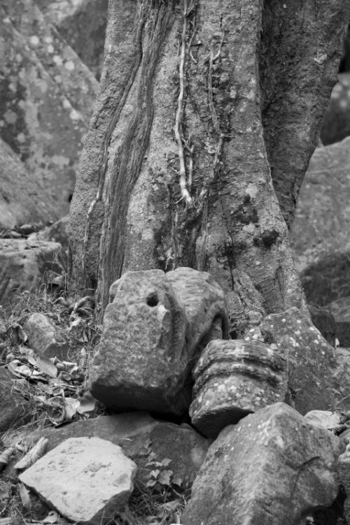 Fotografia de Ciro Caramico Fotografo - Galeria Fotografica: Trre ans Stone - Foto: 