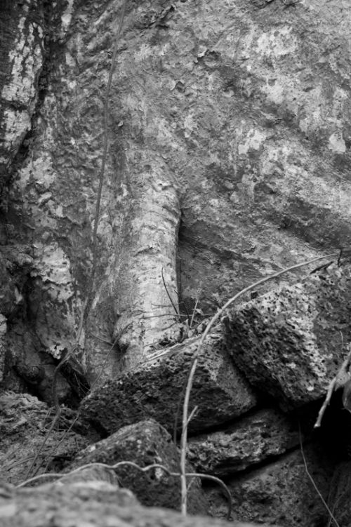 Fotografia de Ciro Caramico Fotografo - Galeria Fotografica: Trre ans Stone - Foto: 