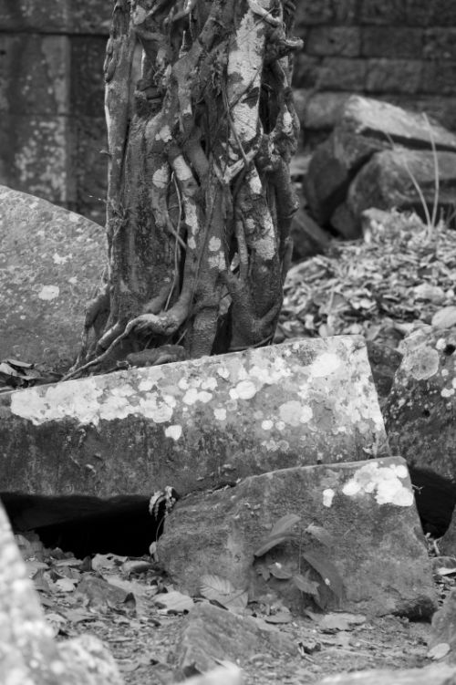 Fotografia de Ciro Caramico Fotografo - Galeria Fotografica: Trre ans Stone - Foto: 