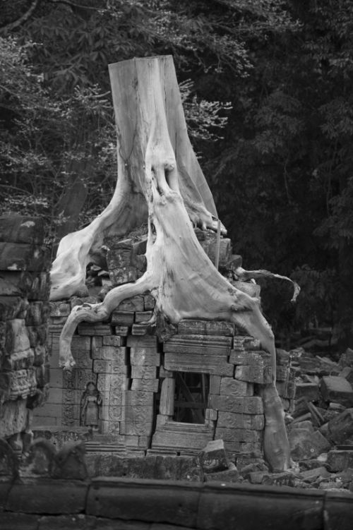 Fotografia de Ciro Caramico Fotografo - Galeria Fotografica: Trre ans Stone - Foto: 