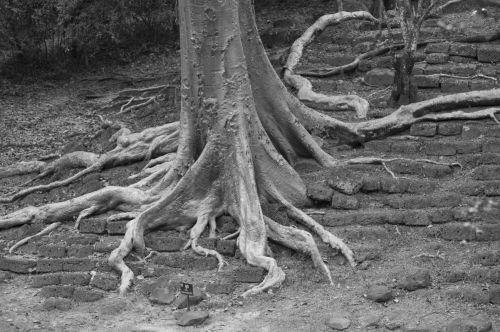 Fotografia de Ciro Caramico Fotografo - Galeria Fotografica: Trre ans Stone - Foto: 