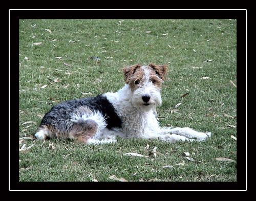 Fotografia de Juan Fruttero - Galeria Fotografica: Retratos Nios - Foto: Teodoro