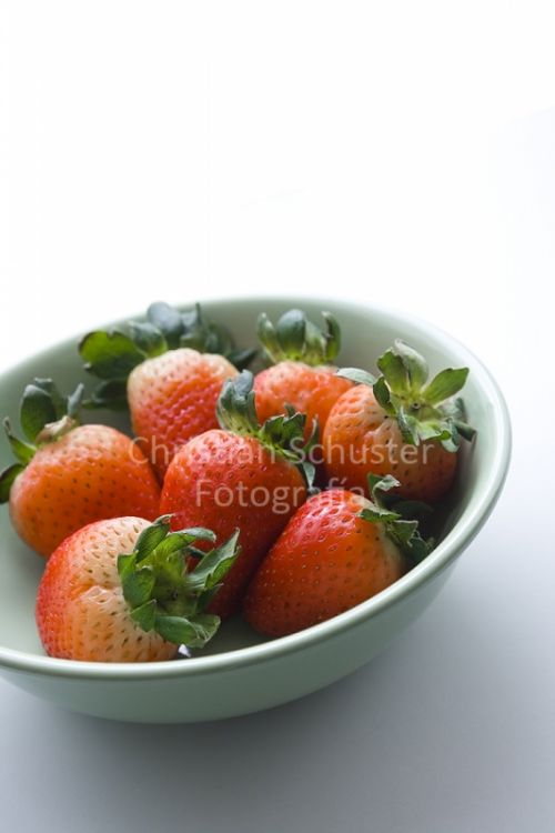 Fotografia de Christian Schuster Fotgrafo - Galeria Fotografica: Portafolio de Christian Schuster - Foto: 