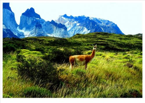 Fotografia de manuel concha - Galeria Fotografica: Paine - Foto: 