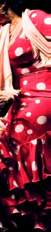 Fotografia de Mika de la Cruz - Galeria Fotografica: movimiento flamenco - Foto: 