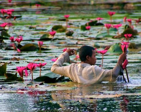 Fotografia de Florencia - Galeria Fotografica: Varias 01 - Foto: 